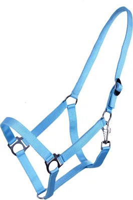 Produktbild von ARBO-INOX® Halfter mit Schiebeschnalle Stallhalfter Basic QHP Farbe - hellblau Größe - Cob Vollblut