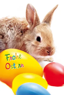 Produktbild von Ostern - Glückwunschkarte im Format 11,5 x 17 cm mit Briefumschlag