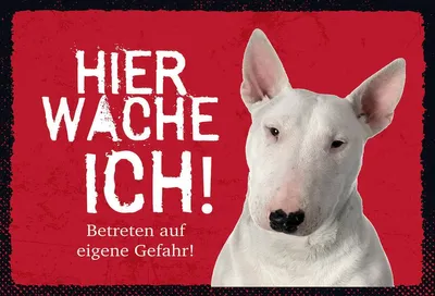 Produktbild von vianmo Holzschild 12x18 cm Bullterrier hier wache eigene Gefahr