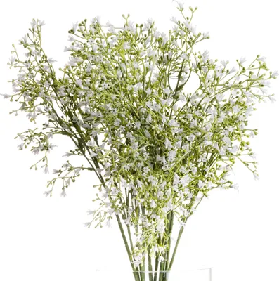 Obrázek produktu pro Hill Interiors - Umělá květina, divoký květ HI3898 (jedna velikost) (bílá/zelená)