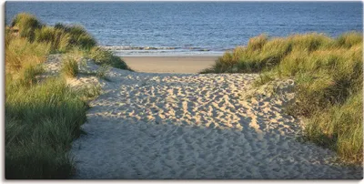 Produktbild von ARTland Leinwandbild Strandaufgang Größe: 40x20 cm