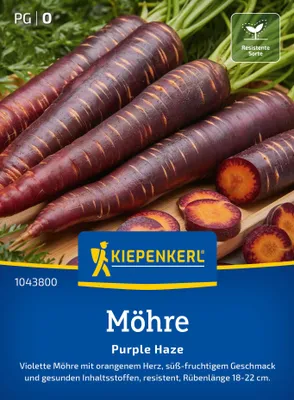 Artikelbild 2 von 'Möhre Purple Haze F1' aus der Kategorie Möhrensamen