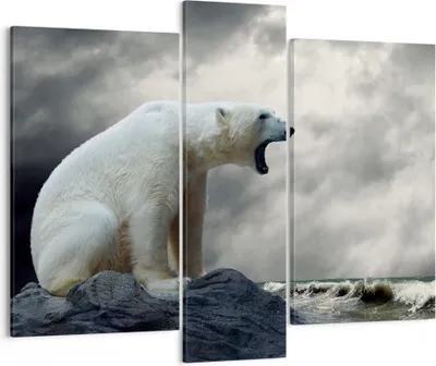 Produktbild von Bild auf Leinwand - Leinwandbild - Bär Tiere Wasser Eis - 95x80cm - Wand Bild - Wanddeko - Leinwanddruck - Bilder - Kunstdruck - Wanddekoration - Leinwand bilder - Wandkunst - CB95x80-2451