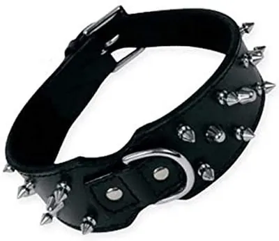 Productafbeelding van Hondenhalsband Gloria, zwart, met spikes (70 cm)