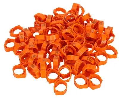 Image de Lot de 100 anneaux pour pattes de volaille (poulet, canard, oiseau), avec boucle et étiquette, accessoires d'alimentation, couleur orange