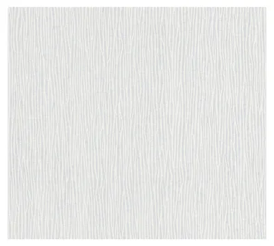 Obrázek produktu pro A.S. Création netkaná tapeta Meistervlies Pro Protect 2, bílá, malovatelná, 10,05 m x 0,53 m, 243911, 2439-11