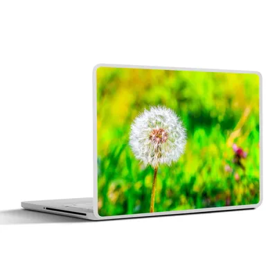 Produktbild von MuchoWow® Laptop Aufkleber Sticker Cover Löwenzahn - Gras - Blume 30x22 cm - Laptop-Sticker