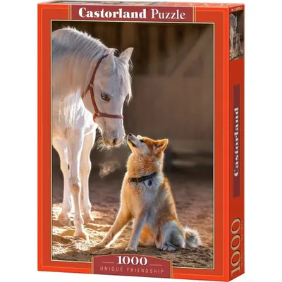 Image de Puzzle 1000 pièces Unique Friendship 105076 Castorland