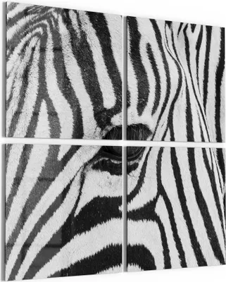 Produktbild von DEQORI Glasbild Echtglas 4x50x50 cm 'Blick der Wildnis' Wandbilder XXL groß