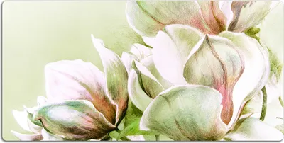 Produktbild von Schreibtischmatte Tischunterlage 90x45 cm Mauspad - Magnolienblumen