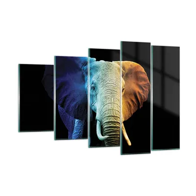 Produktbild von Bilder auf glas - 5 Teile - Bunt Elefant Fotografie - 150x100cm - Glasbilder - Wandbilder - Bilder - zum Aufhängen bereit - Wanddekoration aus Glas - Glas Bilder - Wandbild auf Glas - GEG150x100-4768