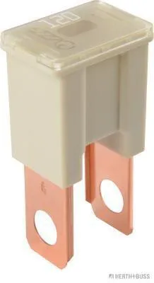 Produktbild von HERTH+BUSS ELPARTS Sicherung 50295450 22mm 45mm Blisterpack 15mm