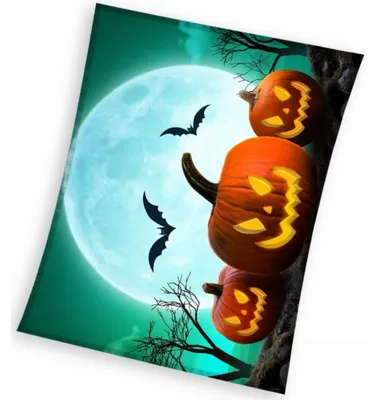 Produktbild von P.H.U. Carbotex Wohndecke Kürbis Halloween Fleecedecke Kuscheldecke 150 x 200 cm