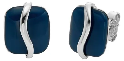 Produktbild von Stilvolle Stahlohrringe Sofia Sea Glass SKJ1810040