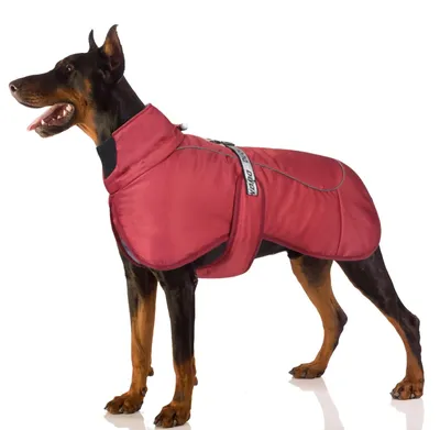 Produktbild von Winterhundejacke, warm, reflektierend, winddicht - Rot, Größe 4XL