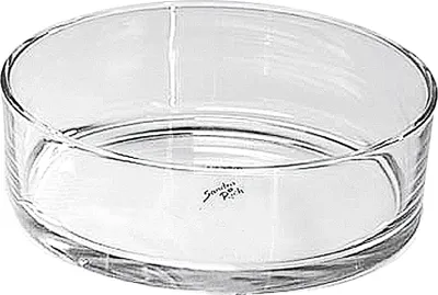 Image de SANDRA RICH Coupe en verre 8cm Ø25cm clair