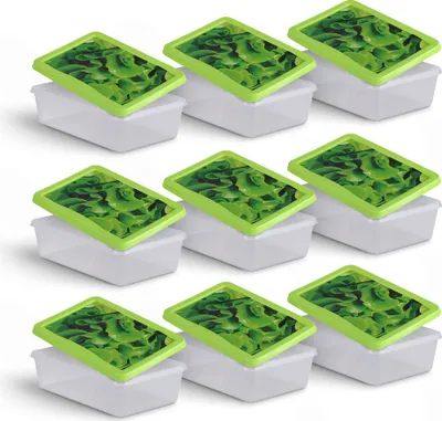 Image de Boîtes fraîcheur 1,25L - Salade - 20x13cm ( pack de 9 )