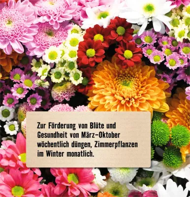 Produktbild von Blühpflanzendünger FloraSelf 1 L mineralischer Dünger