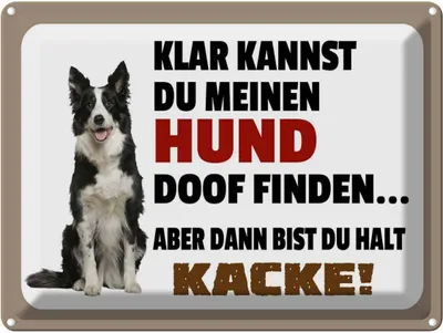 Produktbild von vianmo Blechschild 30x40 cm klar kannst du Hund doof finden