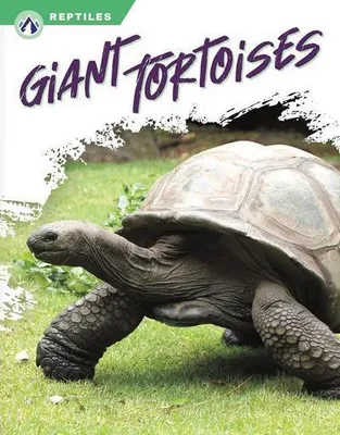 Immagine prodotto di Giant Tortoises