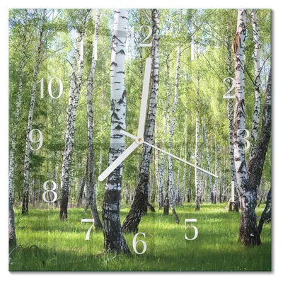 Immagine prodotto di Orologio da parete Tulup Glasuhr, orologio da cucina, vetro vero, 30x30 cm, design moderno e decorativo, silenzioso, lancette bianche - Birkenwald
