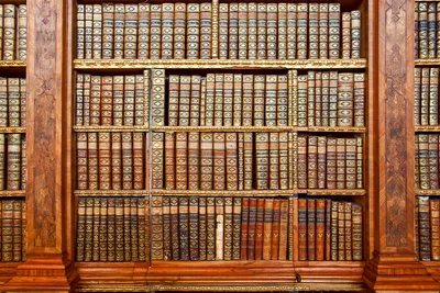 Produktbild von Fototapete - Library 375x250cm - Vliestapete