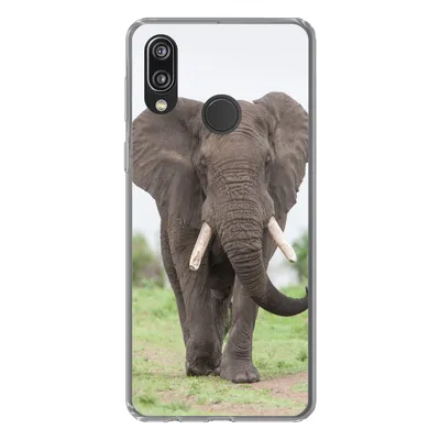 Produktbild von MuchoWow® Handyhülle Schutzhülle Hülle für Huawei P20 Lite (2020) Elefant - Tiere - Gras - Natur Silikon Softcase Handy Hülle - Kartenhalter