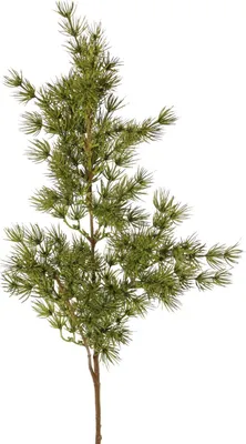 Produktbild von artplants.de Deko Zweig Asparagus umbellatus DIKERNO, grün, 75cm - Künstlicher Asparaguszweig