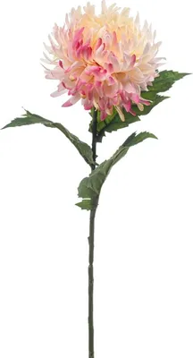 Produktbild von artplants.de Kunstblume Chrysantheme SAXLER, Hellrosa, 55cm - Künstliche Winter-Aster