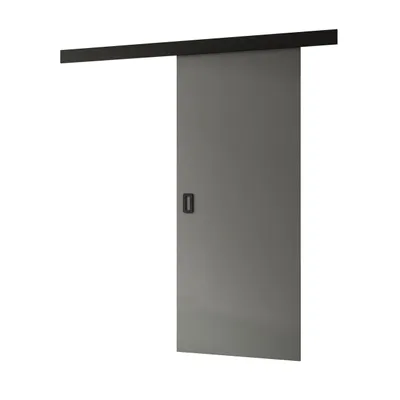 Produktbild von Schiebetür WAYATT mit Griff, Graphit, Soft-Close-System, 96 cm