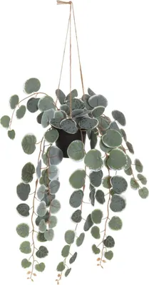 Produktbild von Künstliche Hängepflanze, 40 cm