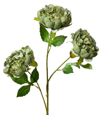Image de Clayre & Eef Fleur artificielle 80 cm vert plastique