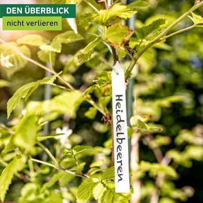 Produktbild von Witterungsbeständige Kunststoff-Bindeetiketten mit Draht zum Stecken für Topfpflanzen, 25 Stück