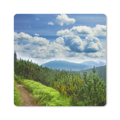 Produktbild von MuchoWow® Mauspad Mousepad Wald - Pfad - Berg 30x30 cm - Mousepads - Maus Mat - Pad - Mausunterlage - Gaming