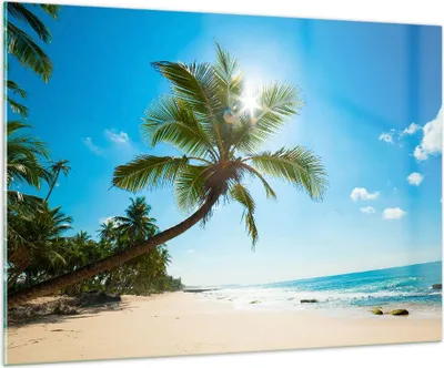 Produktbild von Bilder auf glas - Strand Palme Meer - 100x70cm - Glasbilder - Wandbilder - Kunstdruck - zum Aufhängen bereit - Wanddekoration aus Glas - Glas Bilder - Wandbild auf Glas - Einteilig - GAA100x70-3570