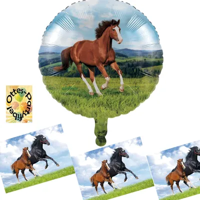 Produktbild von Pferde-Fohlen-Party-Set  Erweiterung 2  16 Einladungen mit Umschlag + 1 Folienballon