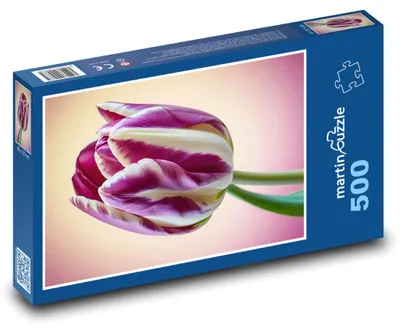 Produktbild von Puzzle 500 Bunter Tulpe in Vase - martinpuzzle
