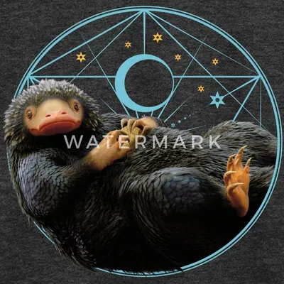 Produktbild von Spreadshirt Phantastische Tierwesen Niffler mit Münze Geschenk Teenager Premium T-Shirt, 146/152 (10 Jahre), Anthrazit meliert