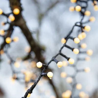 Produktbild von LED Lichterkette Berry Mini - 300 warmweiße opale LED - 6m - 8 Funktionen - Trafo - Timer - outdoor