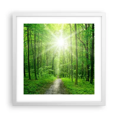 Produktbild von Gerahmtes Poster - Weißer Rahmen - Sonnenstrahlen Wald Sommer - 40x40 cm - Wand Bild - Wanddeko - Wandbilder - Wandposter - Bilderrahmen - Bilder - Kunstdruck - Wandbild - P2WAC40x40-2689