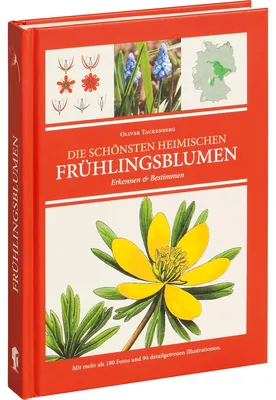 Zdjęcie produktu dla Tackenberg, O. Frühlingsblumen erkennen und bestimmen