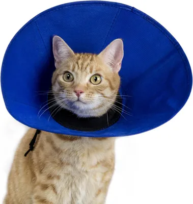 Imagen del producto de Cuello suave para mascotas, talla S, para cuidados veterinarios