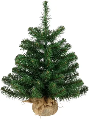 Produktbild von Black Box Trees Alpine Künstlicher Weihnachtsbaum in Jutesack - H60 x Ø51 cm - Grün