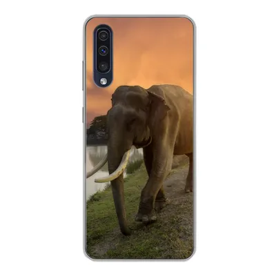 Produktbild von MuchoWow® Handyhülle Schutzhülle Hülle für Samsung Galaxy A30s Elefant - Wasser - Tiere - Sonnenuntergang - Natur Silikon Softcase Handy Hülle - Karteninhaber