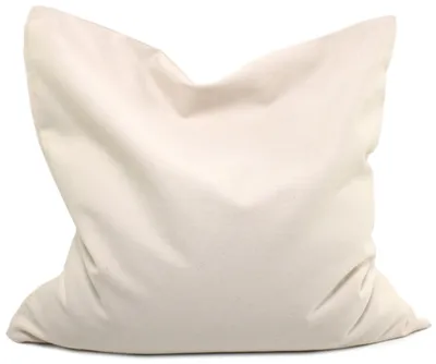 Produktbild von Bio-Hirsekissen 40x40cm, Kissen - Köper-Baumwolle rohweiß, mit Bio-Hirseschalen, + zus. Inlett
