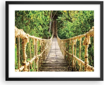 Produktbild von Gerahmtes Poster - Schwarzer Rahmen - Brücke Seil Dschungel - 50x40 cm - Wand Bild - Wanddeko - Wandbilder - Kunstposter - Wandposter - Bilderrahmen - Bilder - Kunstdruck - Wandbild - P2BAA50x40-4319