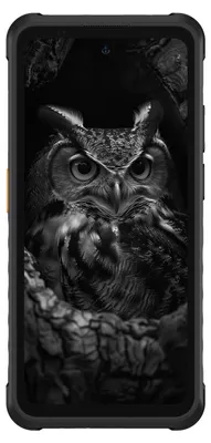 Obrázok produktu pre Ulefone Armor X31 Pro, 16,7 cm (6.56"), 8 GB, 256 GB, 64 MP, Android 15, Čierna