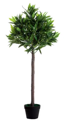 Produktbild von PAPERFLOW Kunstpflanze "Olivenbaum" Höhe: 1250 mm