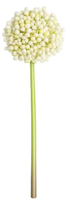 Produktbild von G.blümt Künstliche Allium Stielblume 53 cm, Zierlauch Kunstblume wie echt, Blumendeko Weiß 1 Stück