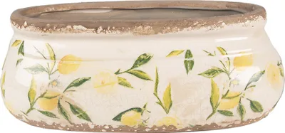 A ceramic pot with a lemon and leaf pattern.